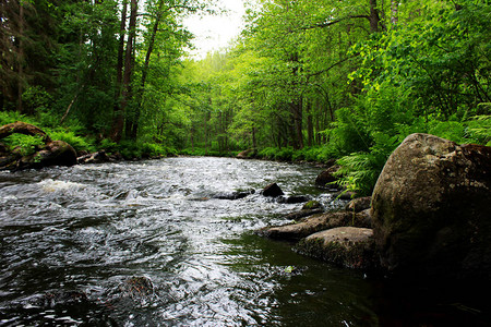 开云体育平台-关于保加利亚-不敌瑞士，连续失利境地的信息