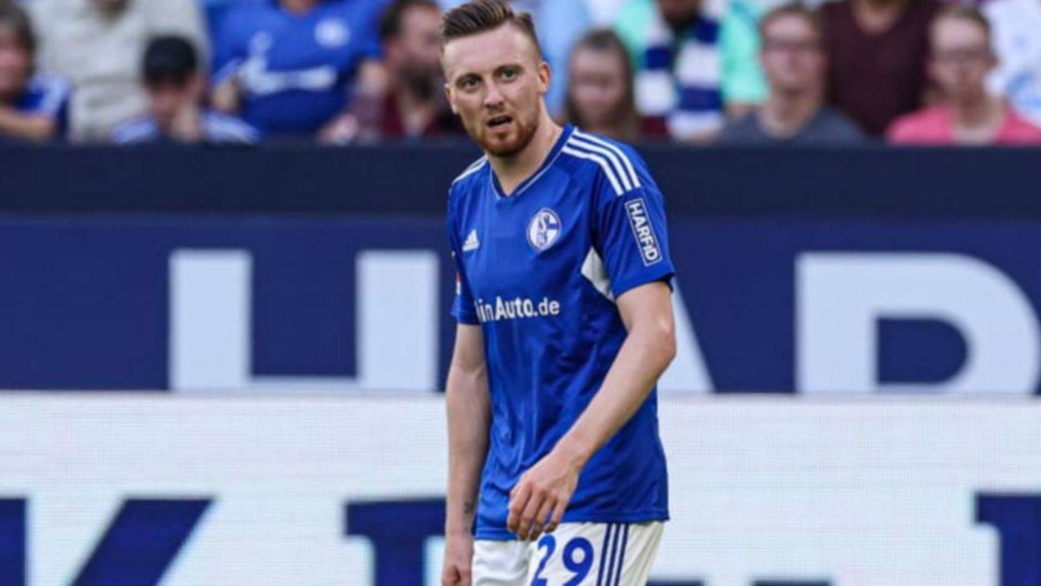 开云体育官网入口-关于霍芬海姆主场告捷，沙尔克遭遇失利的信息