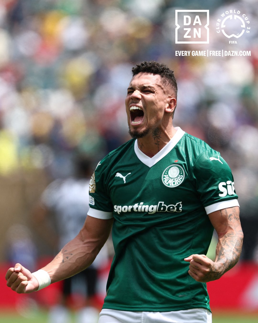 帕尔梅拉斯小将表现抢眼，劲旅添新力量的简单介绍