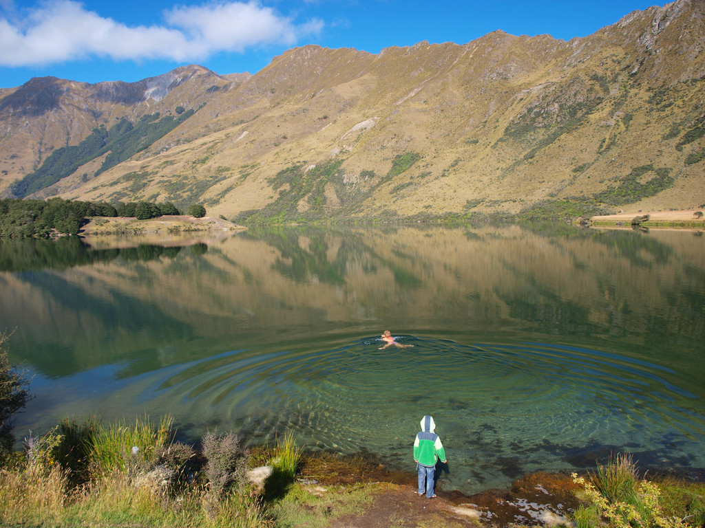 新西兰选手夺得游泳比赛金牌，速度惊人