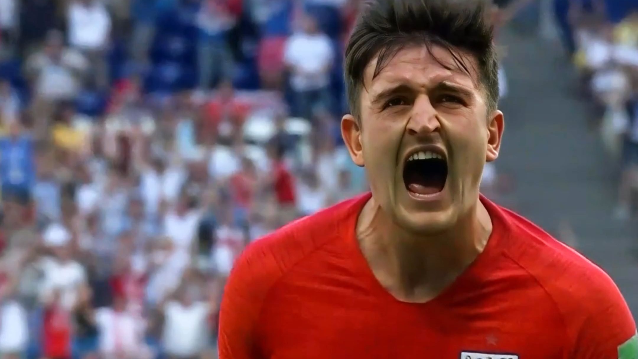 开云体育网站-瑞典球员转会英格兰联赛球队