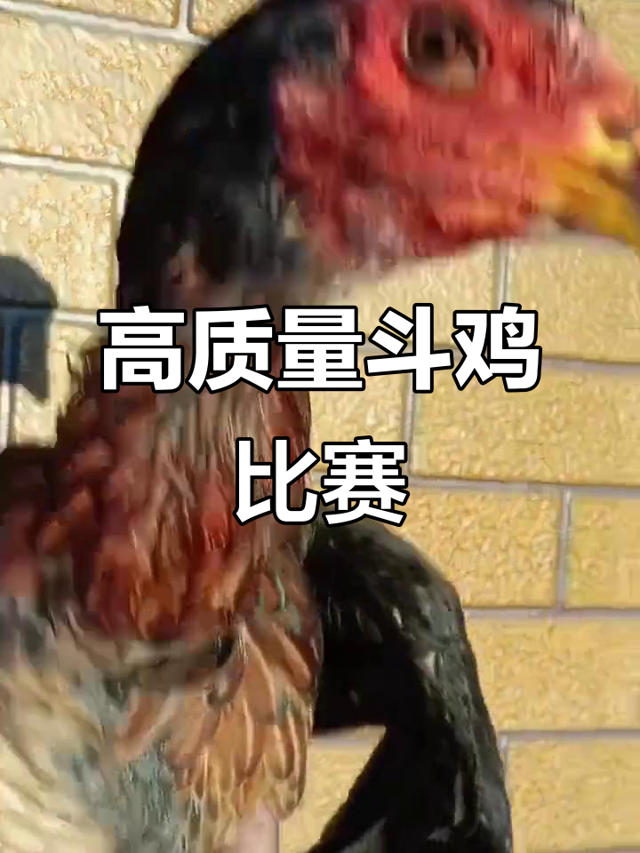 赛场上的精彩瞬间，一触即发